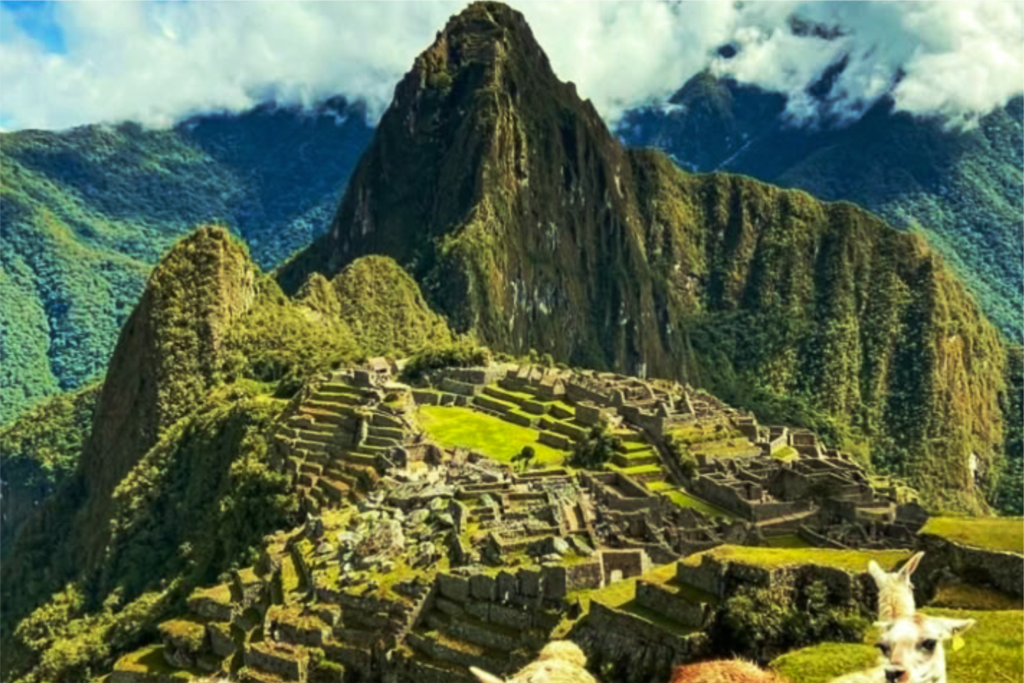 sin título sasa