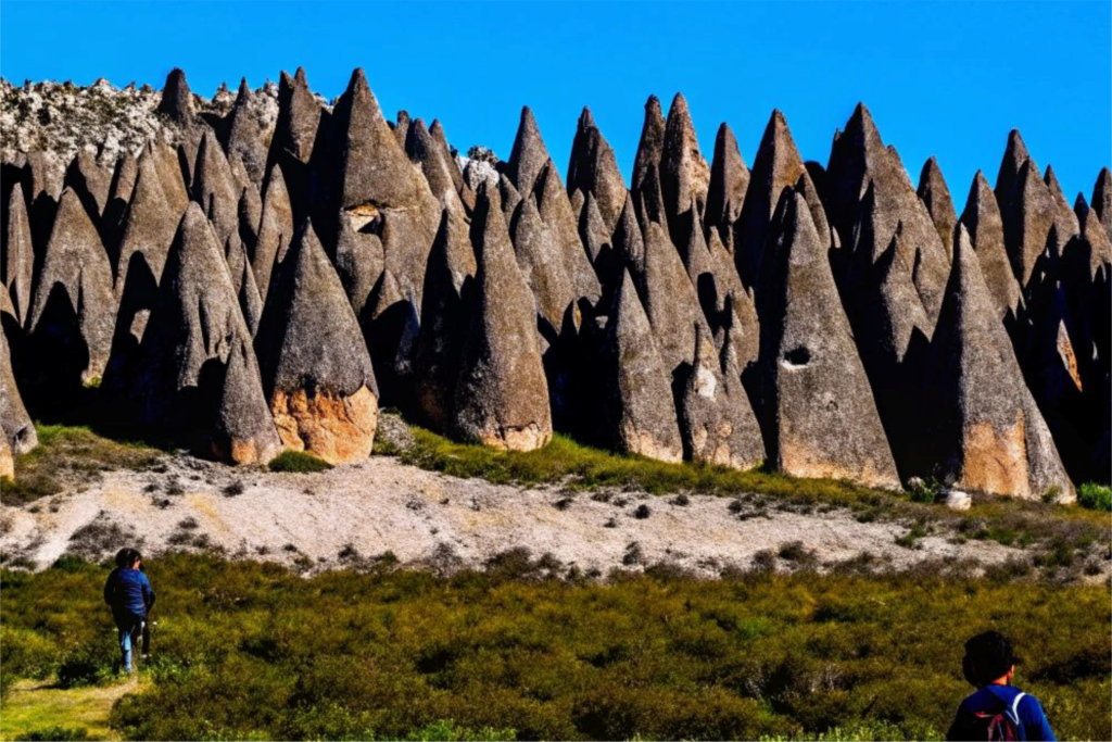 bosque de piedras 1